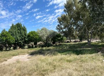 Terreno · 593m² · Lotes de Terrenos en General Alvear Mendoza