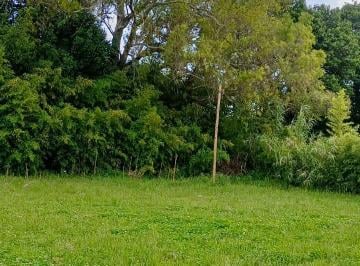 Terreno , La Plata · Excelente Lote en Barrio Cerrado "Village El Molino", en Villa Elisa