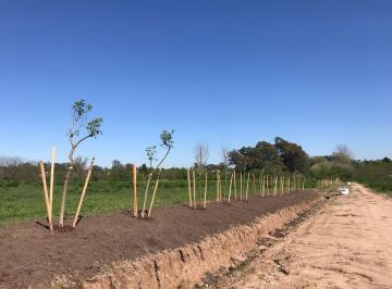 Terreno · 412m² · Terreno - Venta City Bell