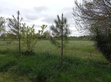 Terreno · 11000m² · Terreno Venta City Bell