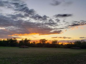 Campo · 65000m² · 5 Ambientes · 1 Cochera · Campo en Venta