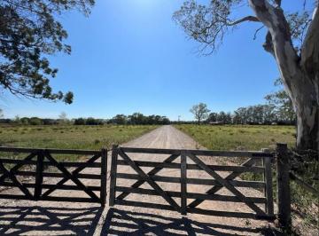Terreno · 50000m² · Terreno en Venta Los Hornos