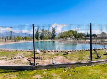 Terreno , Luján de Cuyo · Venta Lote Quatro Viamonte 615 m Oportunidad!seguridad Plaza de Juegos