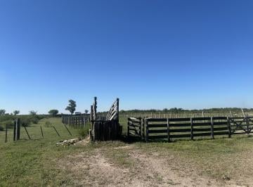 Campo · Campo en Esteban Rams