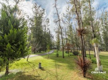 Terreno · 1037m² · Venta Terreno Lote Campo Timbó