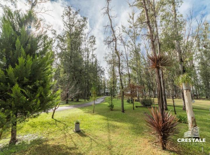 Terreno · 1037m²