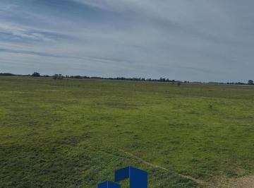 Campo · 90m² · 3 Ambientes · Venta Campo 227 Ha en Ranchos, Sobre Ruta 29 – 2 Casas, 24 Potreros y Manga Completa