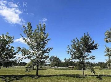 Terreno · 1141m² · Oportunidad Lotes Escriturables en Club de Campo Los Palenques - Manzanares