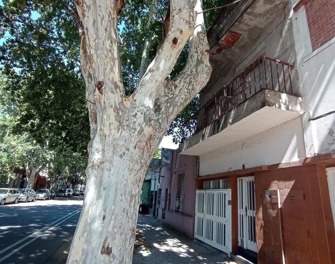 Casa · 326m² · 15 Ambientes · 2 Cocheras