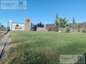 Terreno · 450m² · Lote en Venta en Barrio Alto Paredes