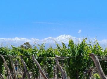 Bodega-Galpón de 6 ambientes, Ugarteche · Finca en El Carrizal a m de La Ruta Nacional 40