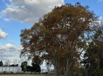 Terreno · 5000m² · Lote a La Venta en Parque Industrial en Jauregui, Lujan