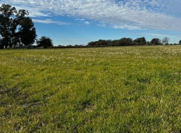 Casa · 80m² · 3 Ambientes · Campo con Casa en General Mansilla/bavio