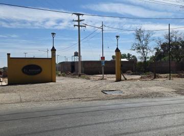 Terreno , El Zapallar · Barrio El Amparo