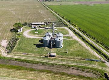 Campo · Campo en Luis Palacios