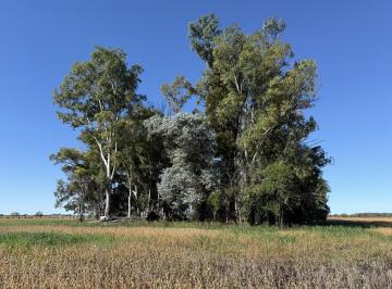 Campo · 162000ha · En Venta Muy Lindas Ha en Solis, Provincia de Buenos Aires