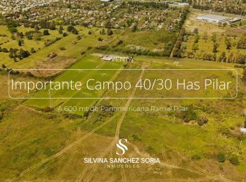 Campo · 400000m² · Importante Campo 40 / 30 Has Pilar