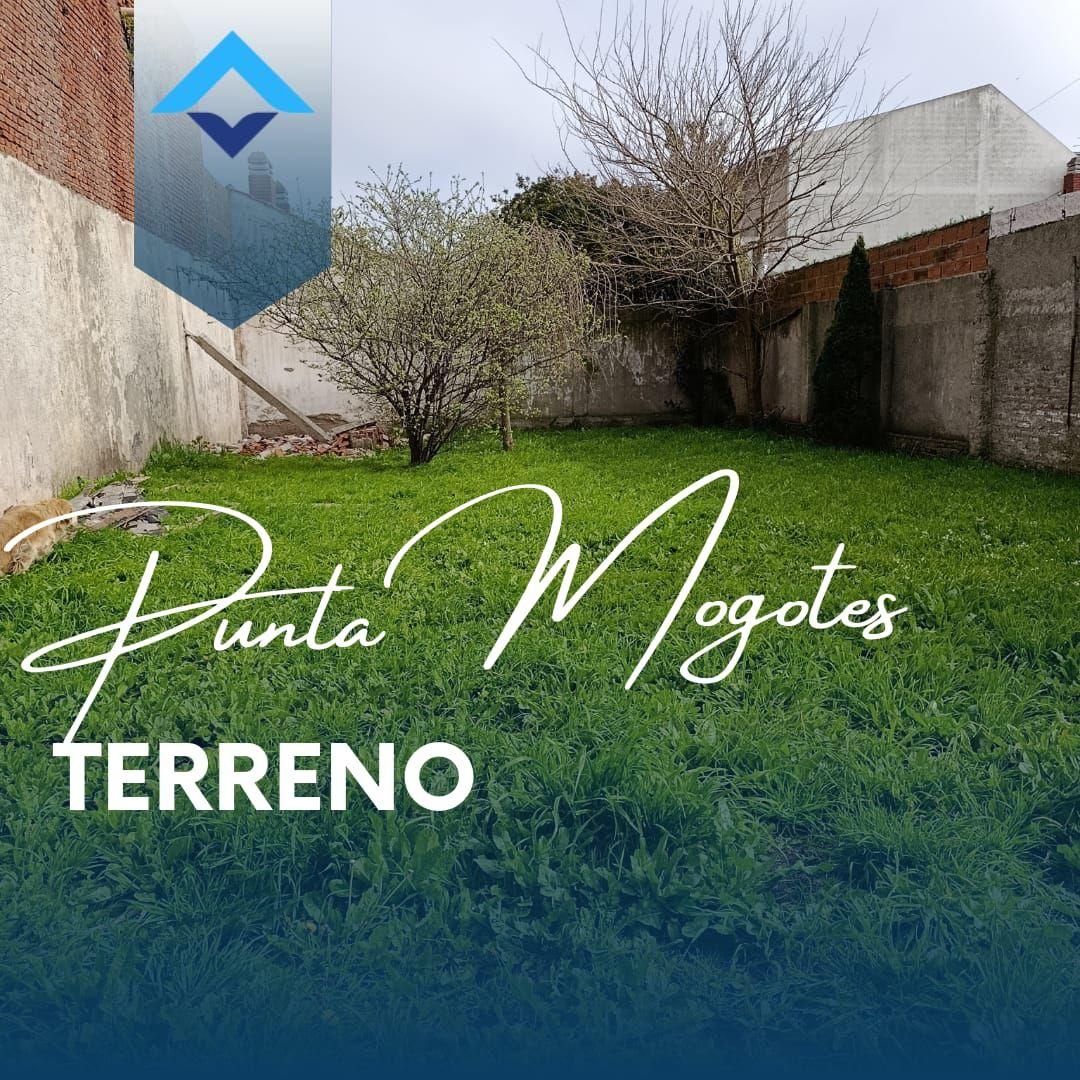 Terreno en venta – Punta Mogotes