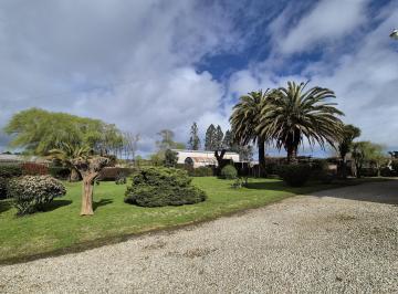 Quinta vacacional · 505m² · Venta de Campo / Quinta de 9 Has con Mejoras en Batan