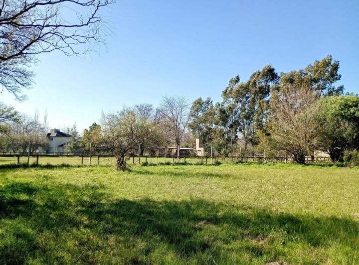 Terreno · 2500m²