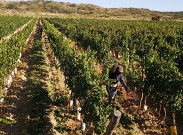 Quinta vacacional · 500000m² · Greenwood Inmobiliaria Vende Hermosa Finca en Ugarteche