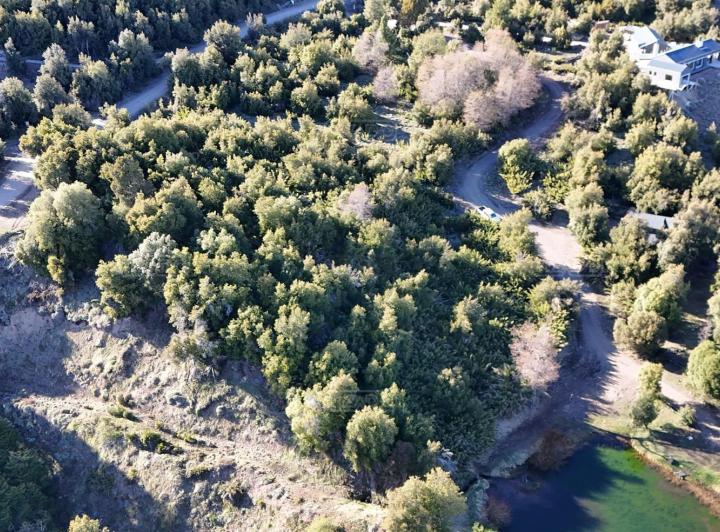 Terreno · 10217m²