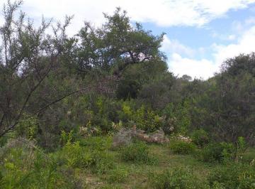 Campo · 230000m² · Campo en Tulumba