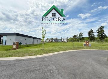 Terreno · 457m² · Santa Elisa - Lote 227 - Interno - Cul de Sac - Pilar del Este