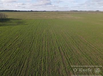 Campo · 2090000m² · Campo de 209 Has en La Plata. Posibilidad de Financiacion!