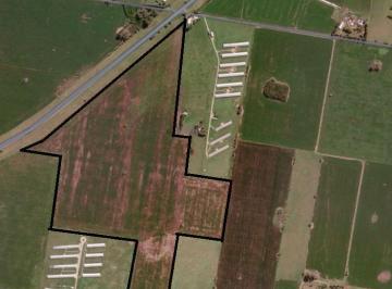 Campo · 533800m² · Campo de 53 Ha Capilla del Señor 1000 m Sobre La Ruta