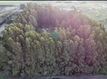 Terreno · 10000m² · Lote - Terreno en Estacion Cahpadmalal - Oportunidad - Bajo de Precio - Apto Credito