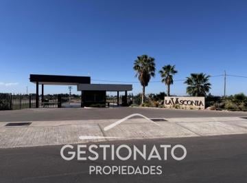 Terreno , Maipú · Lote en Venta
