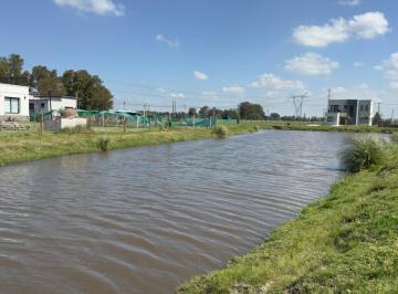 Terreno · 1000m² · Lote Terreno en Venta - Cañuelas Park - Maximo Paz