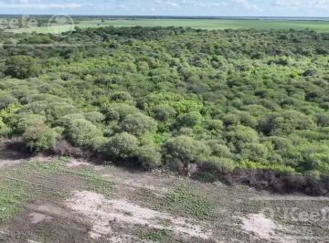 Campo · 250ha · 5 Ambientes · Campo en Venta 6600 Has en Santa Fe