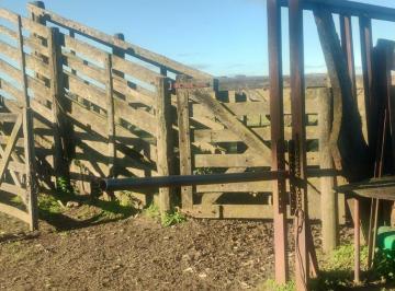 Campo · 302m² · Campo Mixto de 302 Ha con Casa