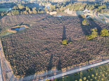 Quinta vacacional · 6ha · 1 Ambiente · 1 Cochera · Chacra Zona La Pataia