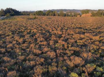 Quinta vacacional · 6ha · 1 Ambiente · 1 Cochera · Chacra Punta Ballena