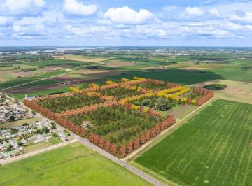 Terreno · 353m² · Lotes en General Lagos