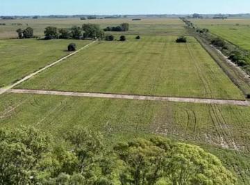 Terreno · 65000m² · Terreno en Villa Ruiz