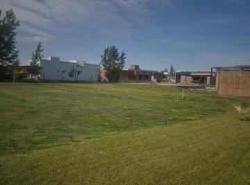Terreno · 1600m² · Venta Lote en Estilo Chacra - Cipolletti
