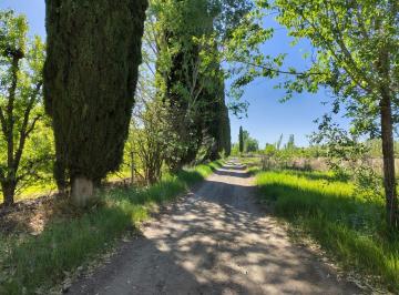 Campo · 89m² · 5 Ambientes · 1 Cochera · Chacra en Contralmirante m Guerrico