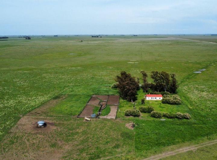 Campo · 170m²