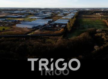 Terreno · 10000m² · Terreno 10.695 m² en Lo Mejor del Polo Industrial Ezeiza - Venta Escrituración Inmediata