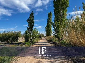 Terreno , Perdriel · Media Hectarea en Perdriel