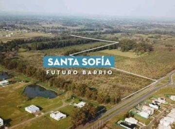Terreno · 600m² · Ava. Lote en Barrio Santa Sofía, Pilar del Este.
