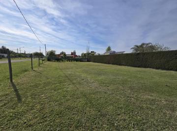 Terreno · 585m² · Terreno en Esquina Orientación Norte
