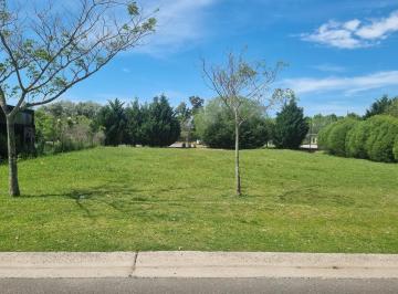 Terreno · 966m² · Venta Lote Intero en San Matias Area 2 L 1265