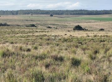Foto1 · Campo en Garzon Cerca de La Bodegas