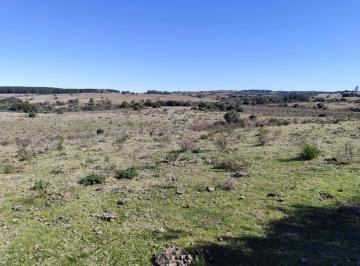Foto1 · Campo en Garzon Cerca de Las Bodegas