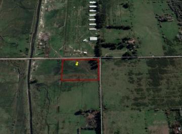 Campo · 28500m² · Terreno - Escobar